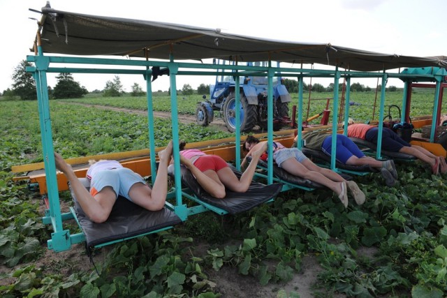 Вопрос к женщинам ЯПа! Строго 35+!