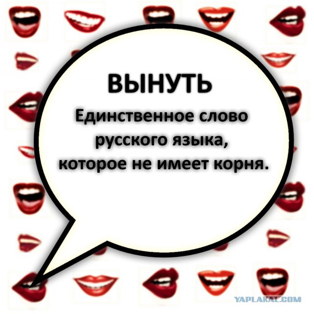 Немного деграданса - 6