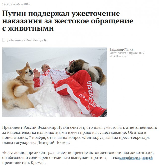 Суд выносит приговор хабаровским живодеркам
