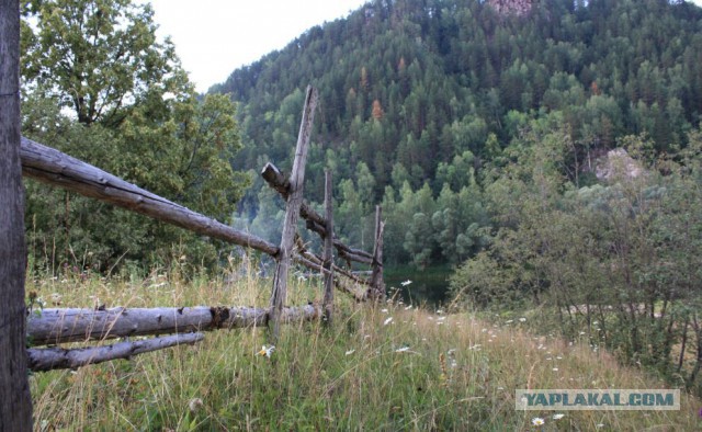 Просто Природа