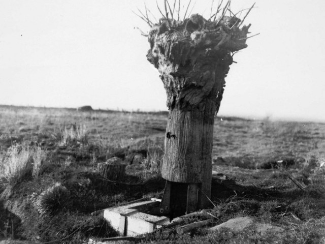 Редкие фотографии из прошлого, которые проливают свет на то, как жили люди в те времена