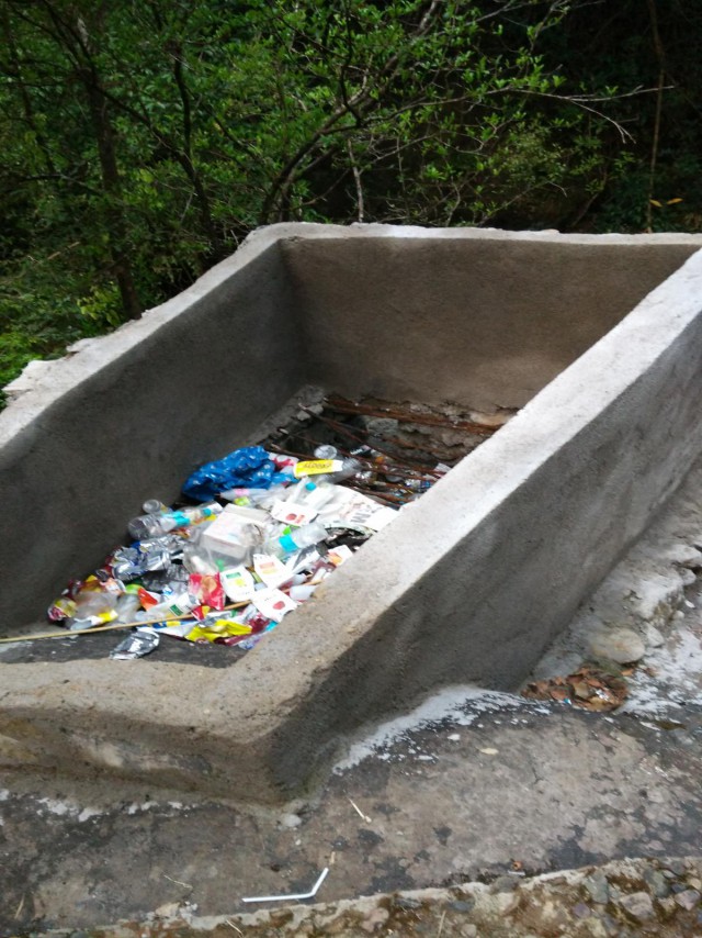 К живым мостам и обратно. Заметки из Индии