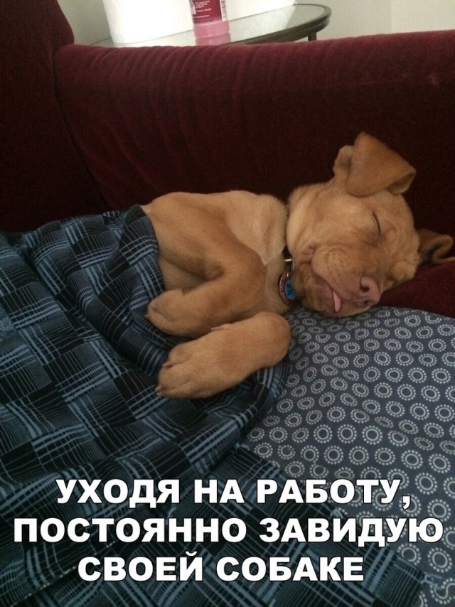 Прикольные картинки абавсём