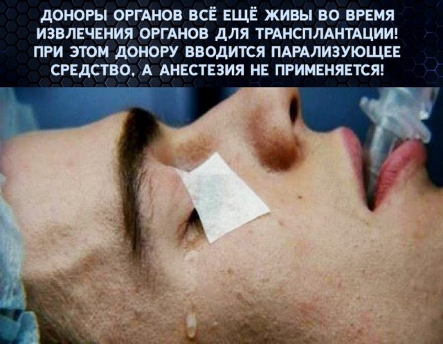 Отобрали все - теперь очередь за органами