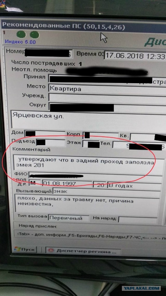 В Санкт-Петербурге врачи извлекли змею из анального отверстия пациента.