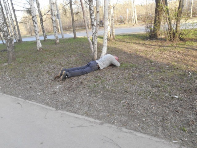 Скотсети и прочие интернеты 18.03.19