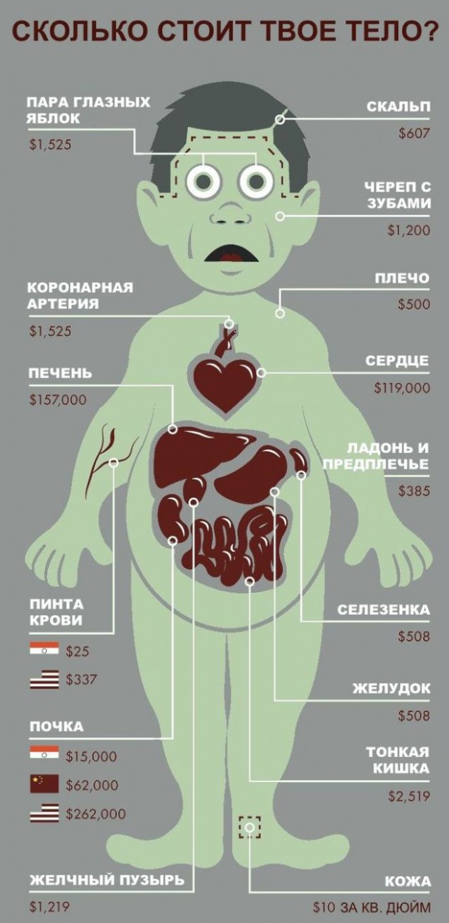 Сколько стоит стать мотоциклистом