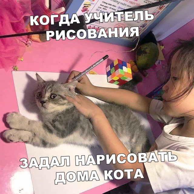 Немного картинок в этот понедельник
