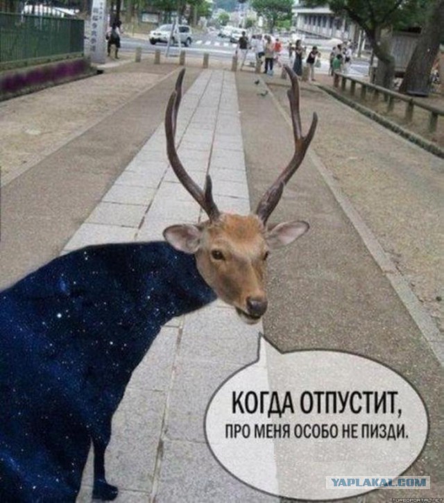 Чемпионат России по футболу, сезон 2019-2020