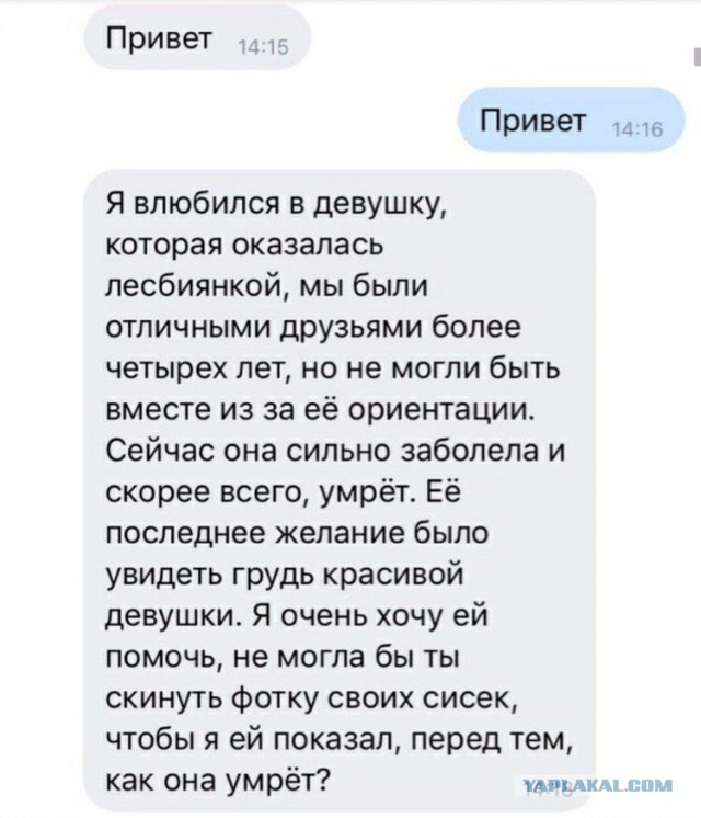 Прикольные комментарии и высказывания из Сети