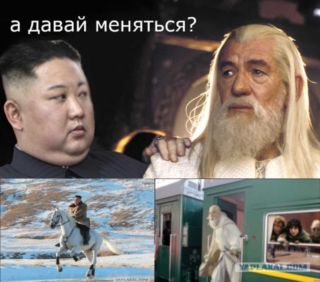 Ким Чен Ын поднялся на белом коне на Пэктусан