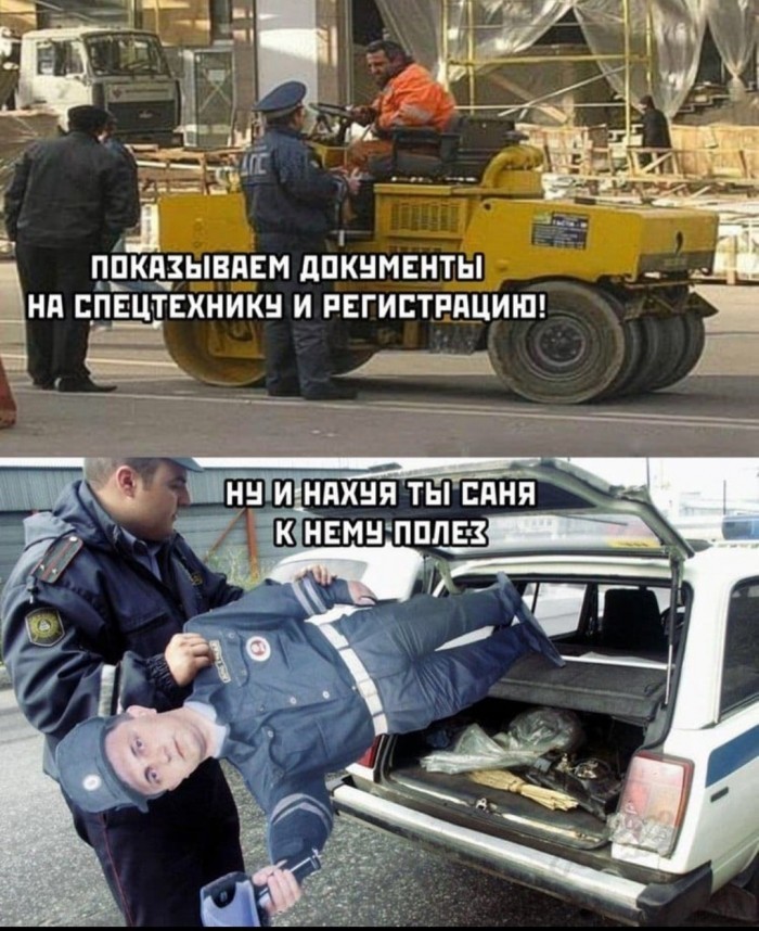 Собака попала под каток!