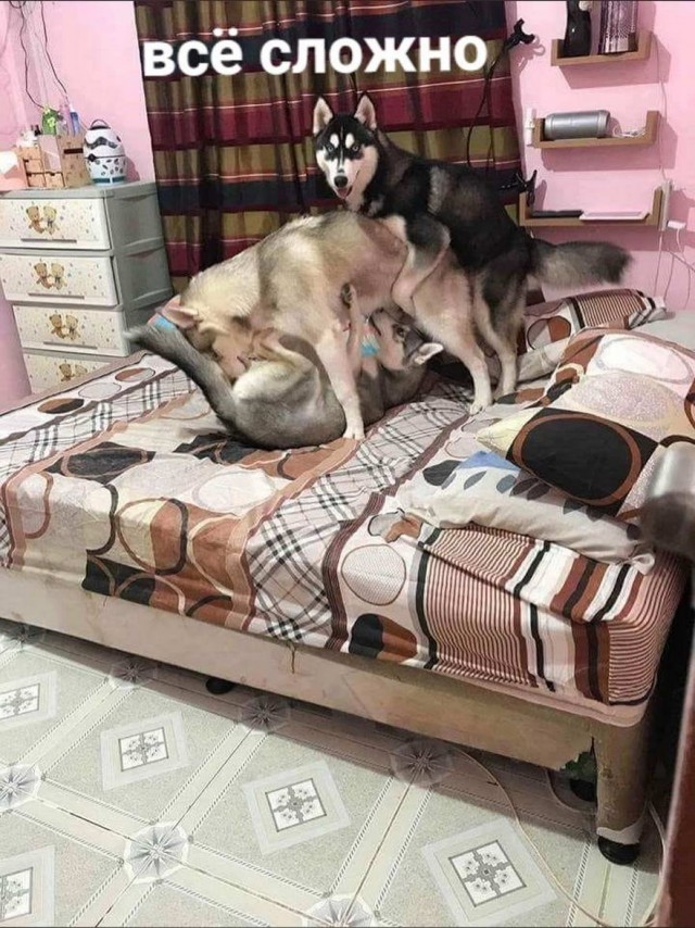 Бредзона 14.04.2020