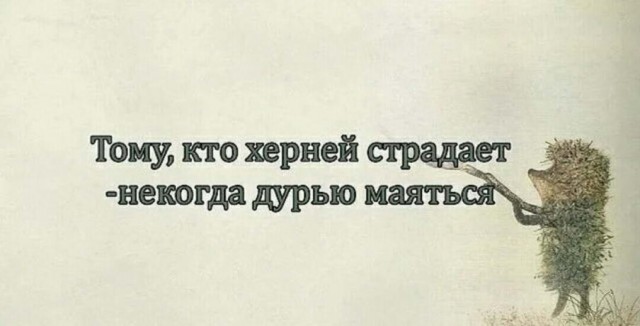 Бредзона 31.05.20