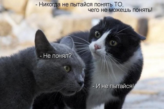 Подборка забавных реклам и объявлений