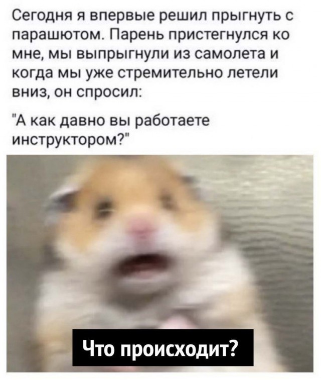 Бредзона 31.01.21