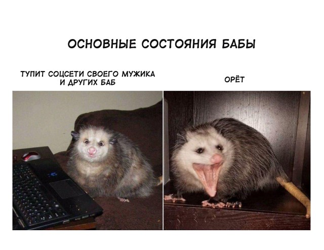 Эй вы, давно не деградировали?!