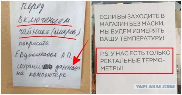 Перлы 08.02.2021