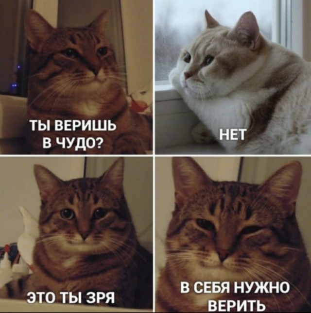 Весёлый полтишок 14.02