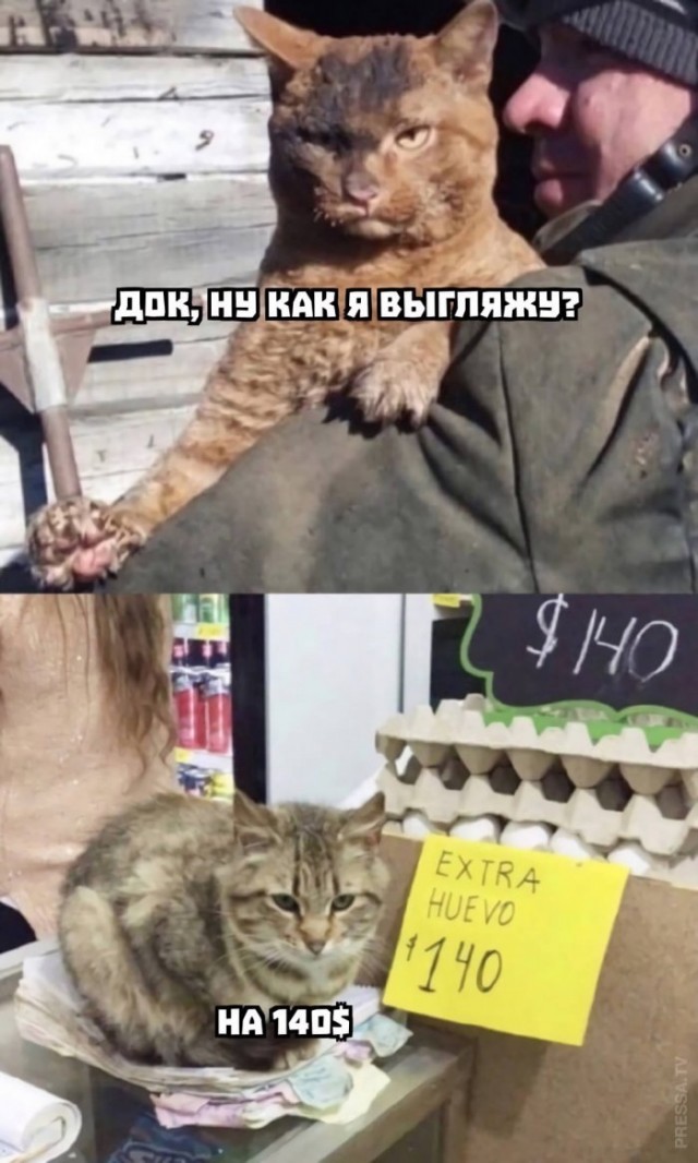 Картинки и мемы для настроения  022