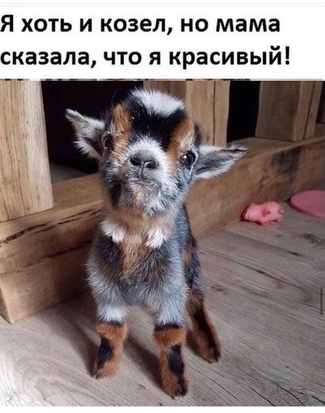 Прикольные и просто красивые картинки 04.06.2021