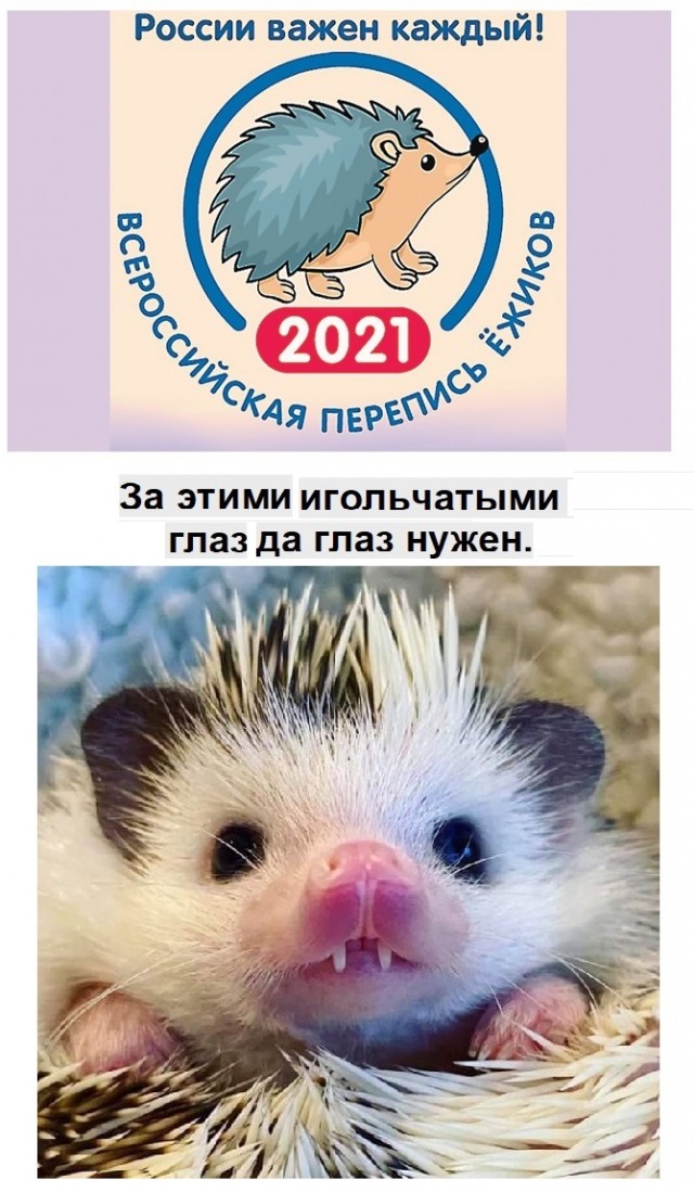 Картинки с надписями и всякие жизненные фразы