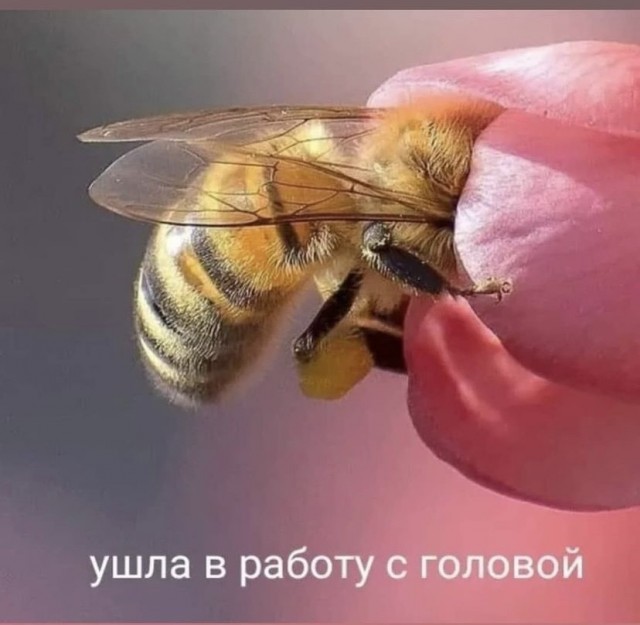 Так себе картинки 05.09.21