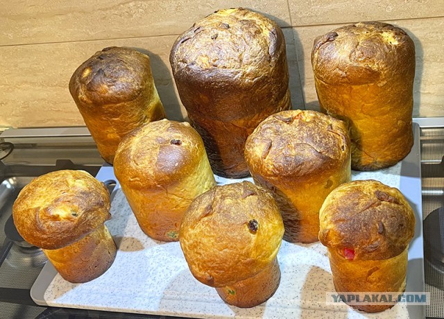 FAQ  по 100% ангажированию очаровательной особы для приятного времяпрепровождения. Кулич