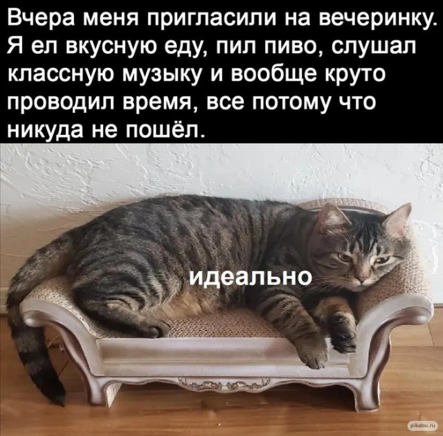 Картинки и мемы для настроения - 27