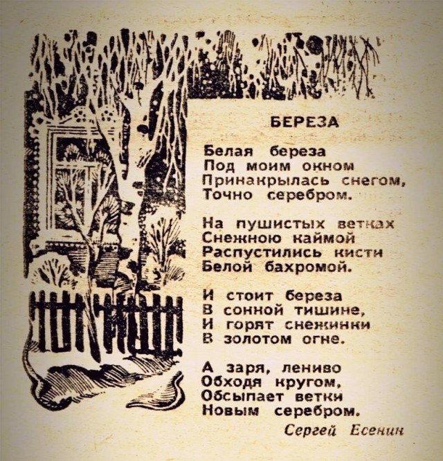 Однажды ты родился... и понеслось!