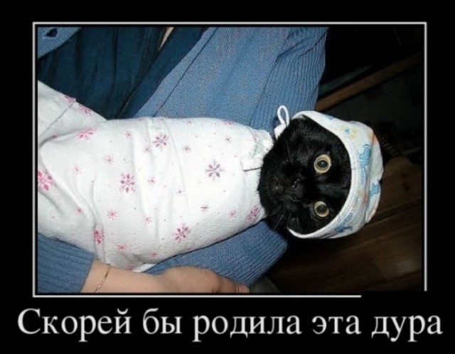 Когда уже родишь?