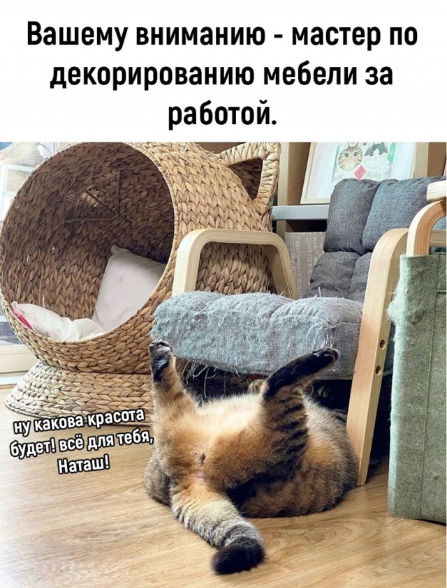 Так себе картинки 06.09.22