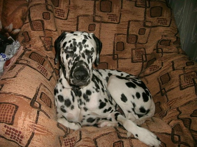 Что мне делать?Новосибирск-помогите.