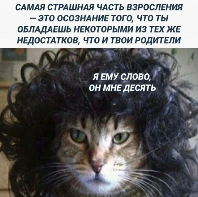 Баянисто-небаянистый юмор 24.10.22