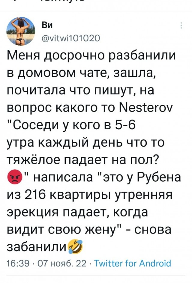 Весёлый полтишок 10.11.22