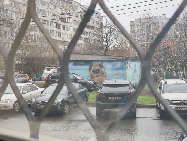 А из нашего окна вот такая красота...