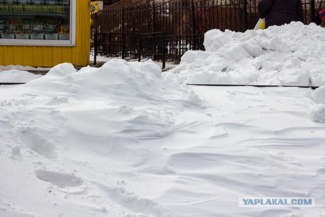 23 марта. Киев. Весна.