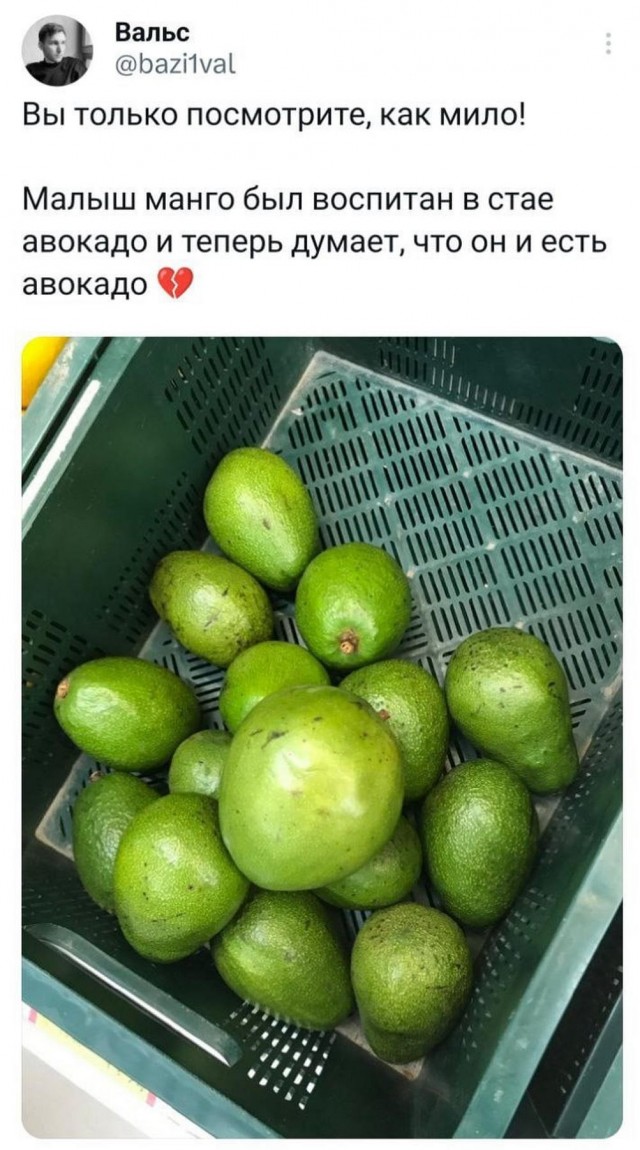 Прикольные и просто красивые картинки 16.05.2023