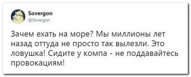 Забавные комментарии из социальных сетей (24.07.23)