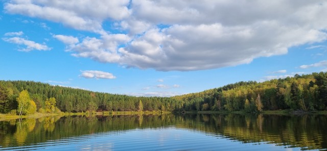 Краски осени