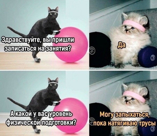 Просто картинки из сети