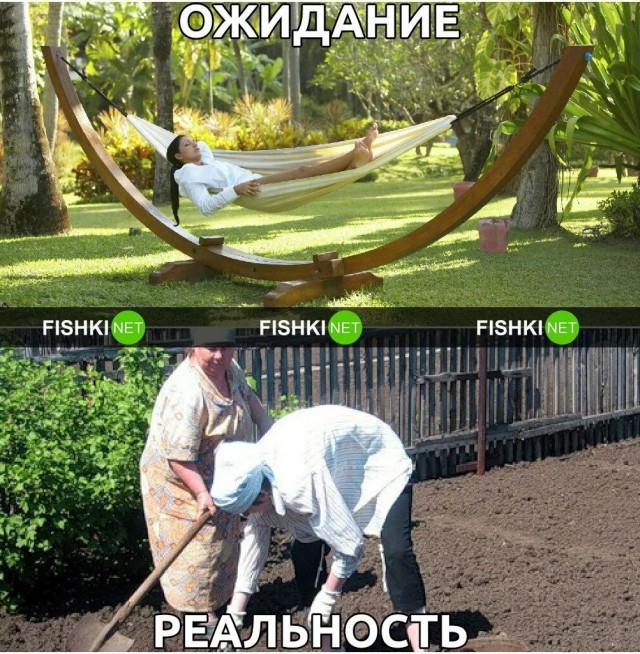 Мужики с дачей! Боритесь за свои права!