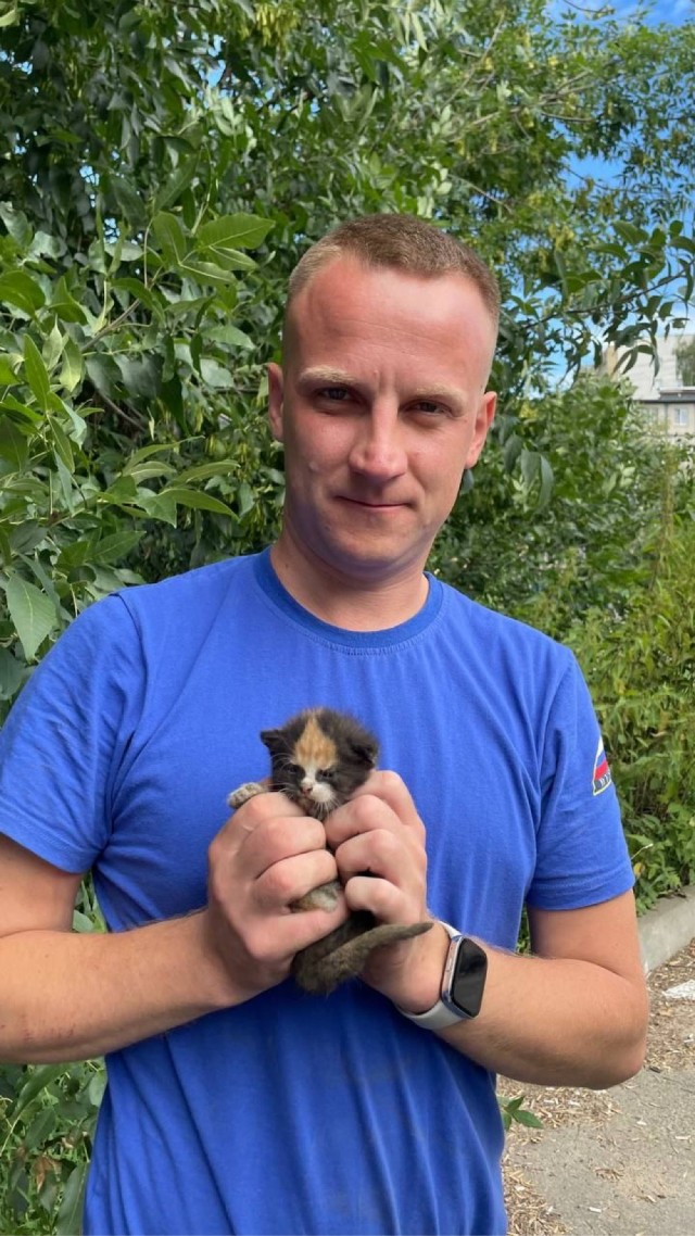 Котёнок в Клину дважды залез под двигатель авто, но в итоге обрёл хозяина