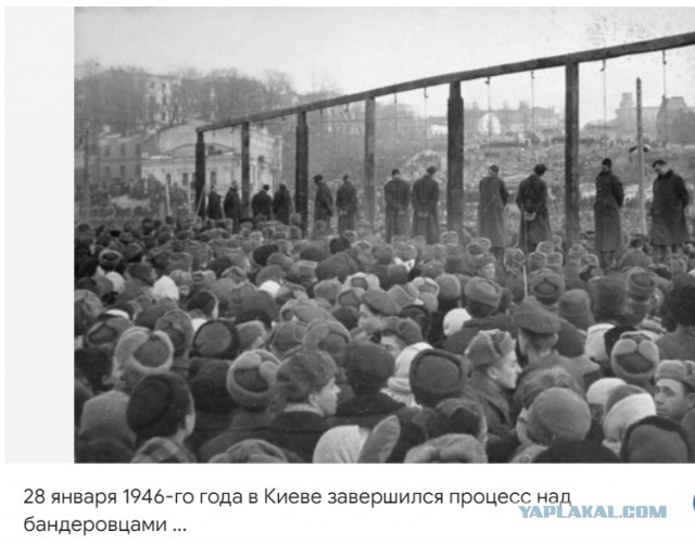 74-летний дедушка из этого издевательского украинского видео пропал без вести.