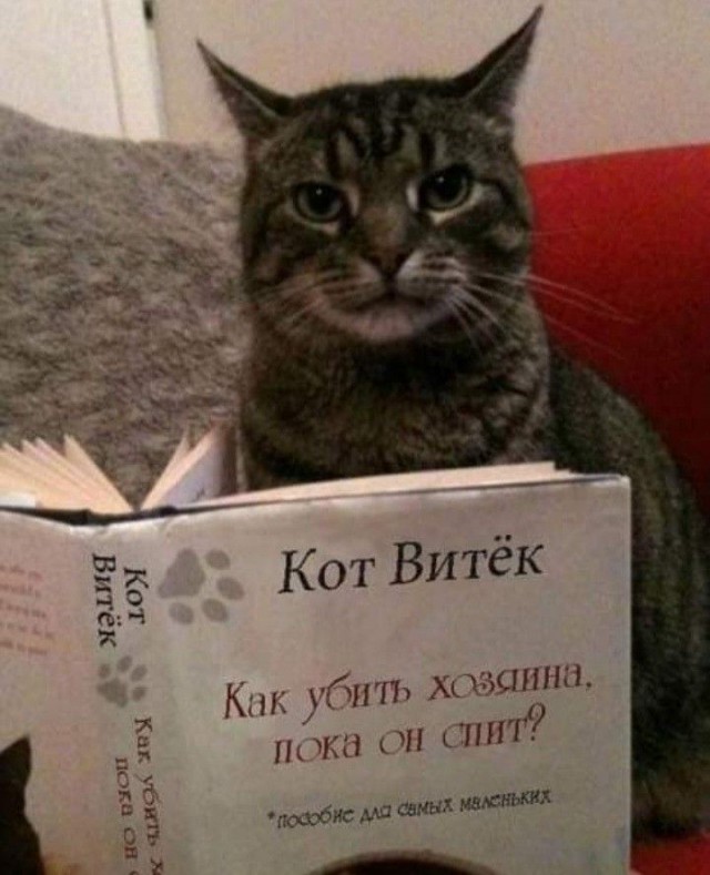 И даже не подавился, сука