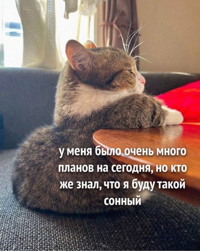 Так себе картинки 04.12.24