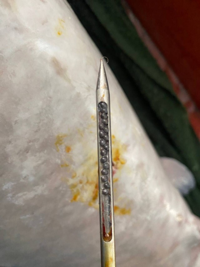 Бутан, таинственный Бутан