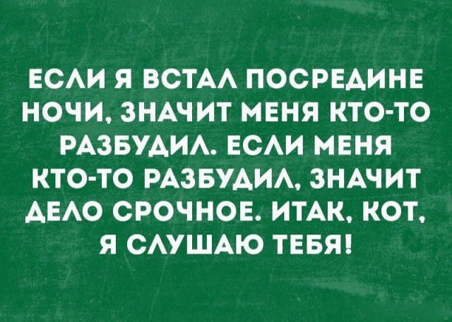 Так себе картинки 01.03.25