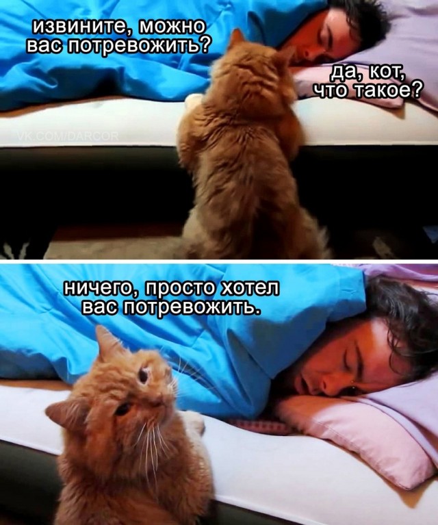Так себе картинки 30.03.25