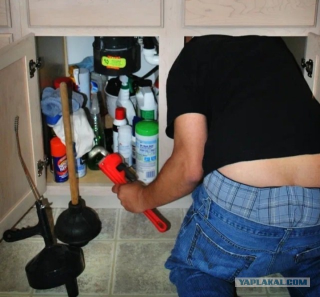 В сети выложили первые в мире леггинсы с жепольте на причинном месте